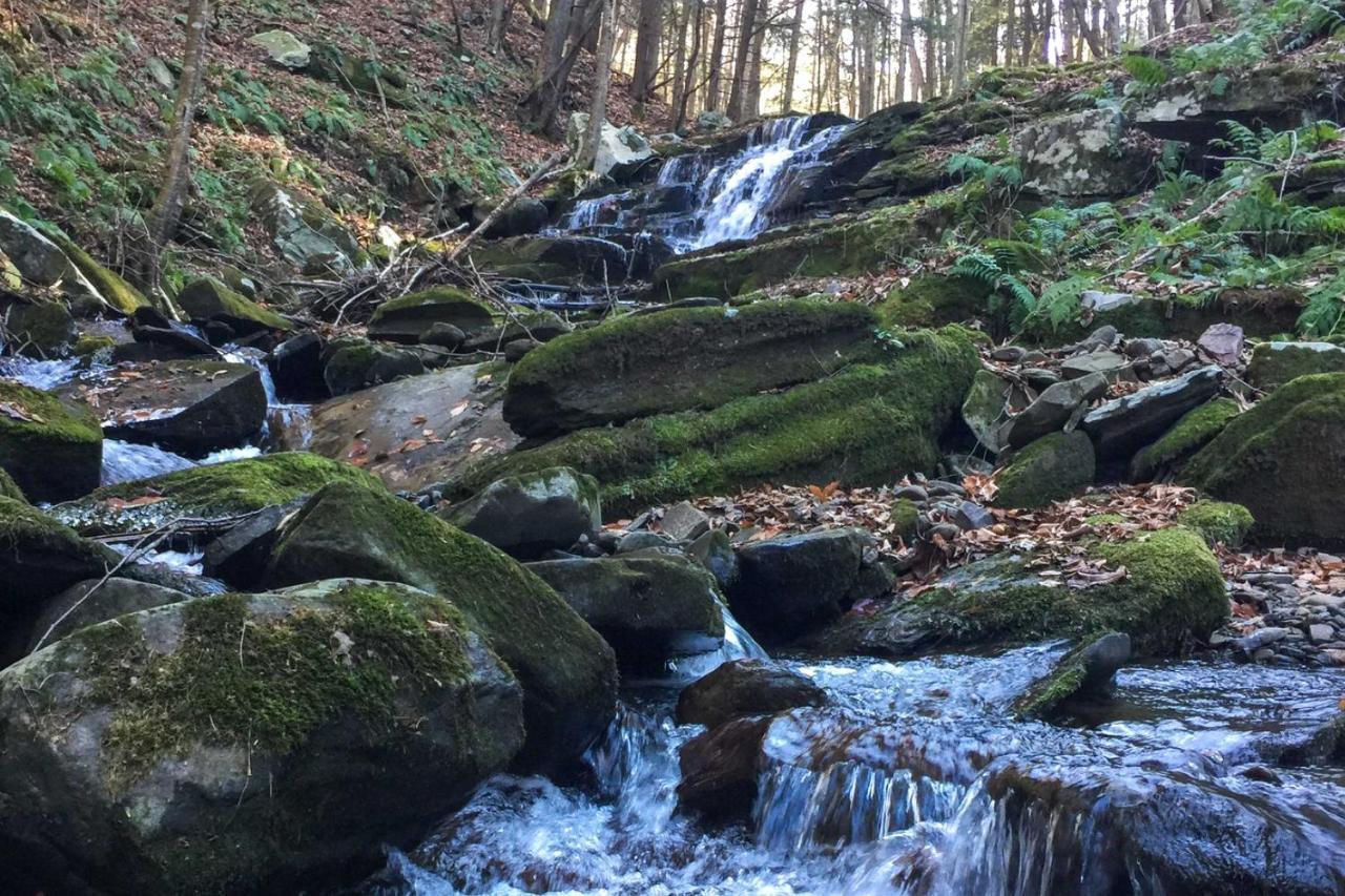 Poconos Home On 100 Private Acres Hike And Fish! Union Dale Exterior photo